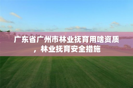 广东省广州市林业抚育用啥资质,林业抚育安全措施