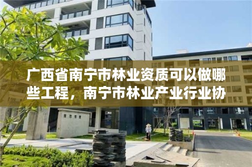 广西省南宁市林业资质可以做哪些工程,南宁市林业产业行业协会
