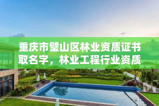 重庆市璧山区林业资质证书取名字,林业工程行业资质