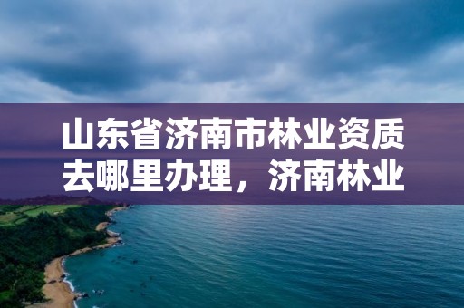 山东省济南市林业资质去哪里办理,济南林业厅