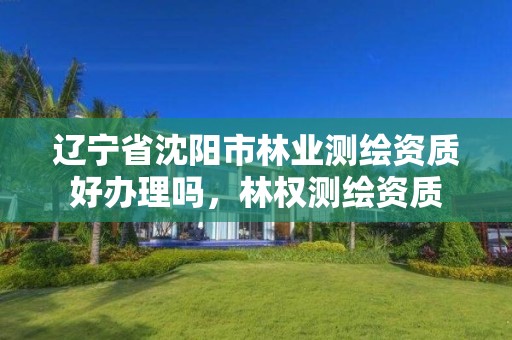 辽宁省沈阳市林业测绘资质好办理吗，林权测绘资质