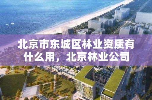 北京市东城区林业资质有什么用,北京林业公司