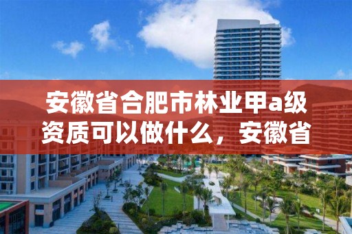 安徽省合肥市林业甲a级资质可以做什么,安徽省林业高级工程师职称评定条件