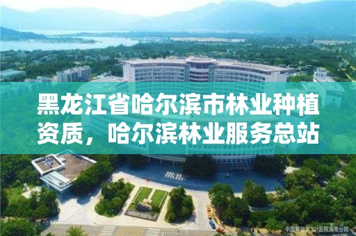 黑龙江省哈尔滨市林业种植资质,哈尔滨林业服务总站