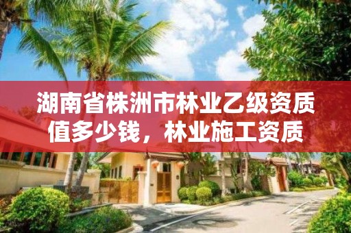 湖南省株洲市林业乙级资质值多少钱，林业施工资质