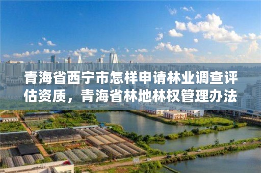青海省西宁市怎样申请林业调查评估资质,青海省林地林权管理办法