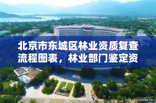 北京市东城区林业资质复查流程图表,林业部门鉴定资质