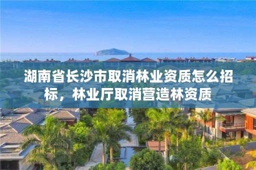 湖南省长沙市取消林业资质怎么招标,林业厅取消营造林资质