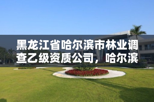 黑龙江省哈尔滨市林业调查乙级资质公司,哈尔滨林业局