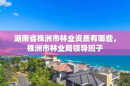 湖南省株洲市林业资质有哪些，株洲市林业局领导班子
