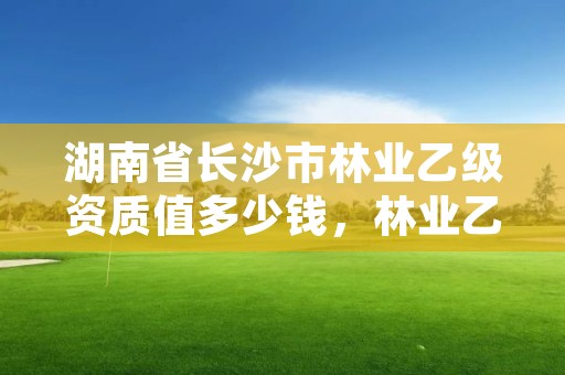 湖南省长沙市林业乙级资质值多少钱，林业乙级资质办理条件