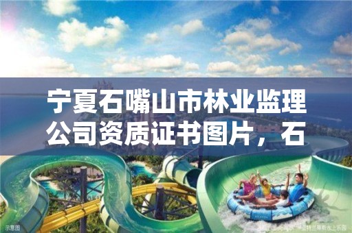 宁夏石嘴山市林业监理公司资质证书图片,石嘴山市林业和草原局