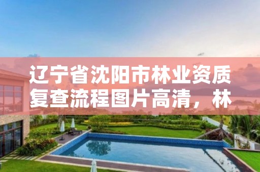 辽宁省沈阳市林业资质复查流程图片高清，林业资质申请