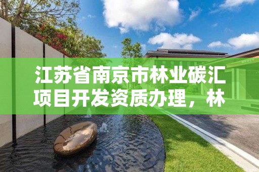 江苏省南京市林业碳汇项目开发资质办理,林业碳汇是什么可以赚钱吗