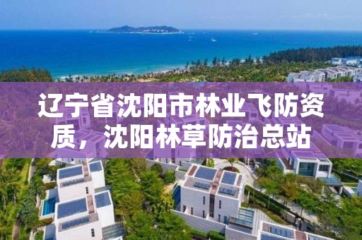 辽宁省沈阳市林业飞防资质，沈阳林草防治总站