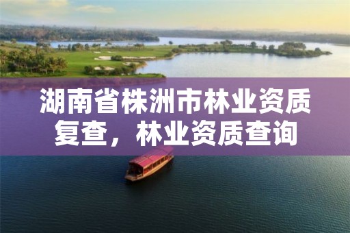 湖南省株洲市林业资质复查，林业资质查询