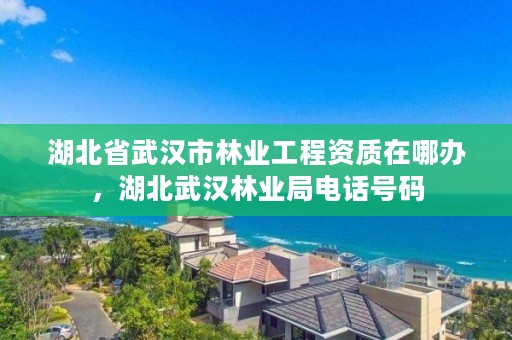 湖北省武汉市林业工程资质在哪办,湖北武汉林业局电话号码