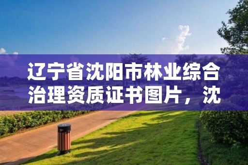 辽宁省沈阳市林业综合治理资质证书图片，沈阳林业局在什么地方