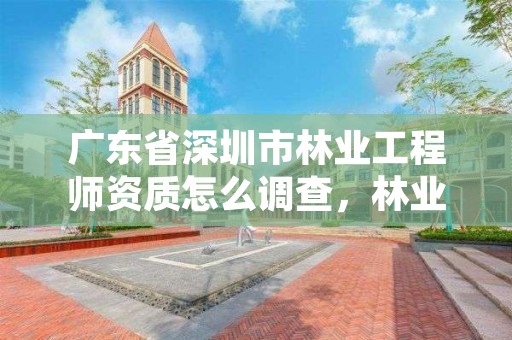 广东省深圳市林业工程师资质怎么调查，林业工程师评审