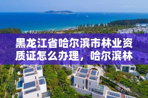 黑龙江省哈尔滨市林业资质证怎么办理,哈尔滨林业厅地址