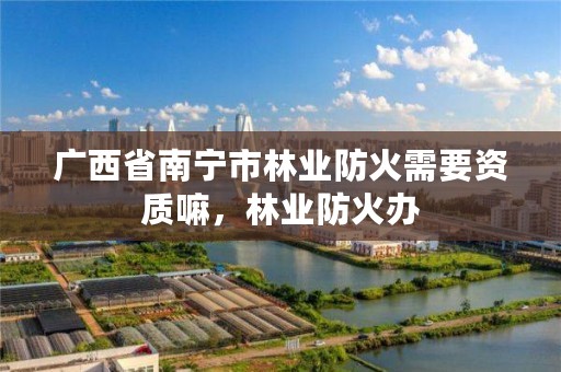 广西省南宁市林业防火需要资质嘛,林业防火办