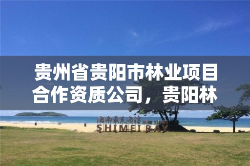 贵州省贵阳市林业项目合作资质公司,贵阳林业局官网