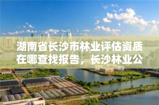 湖南省长沙市林业评估资质在哪查找报告，长沙林业公司