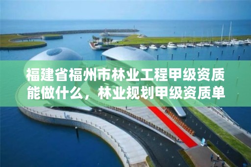 福建省福州市林业工程甲级资质能做什么,林业规划甲级资质单位
