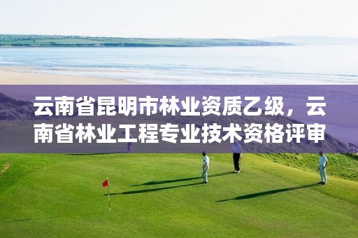 云南省昆明市林业资质乙级,云南省林业工程专业技术资格评审条件