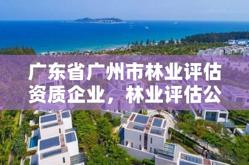 广东省广州市林业评估资质企业，林业评估公司资质