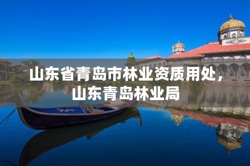 山东省青岛市林业资质用处,山东青岛林业局
