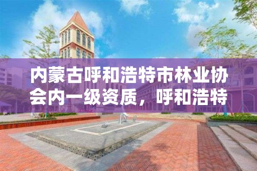 内蒙古呼和浩特市林业协会内一级资质,呼和浩特林业厅在哪