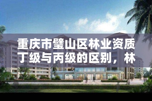 重庆市璧山区林业资质丁级与丙级的区别,林业资质 重庆