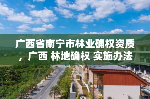 广西省南宁市林业确权资质,广西 林地确权 实施办法