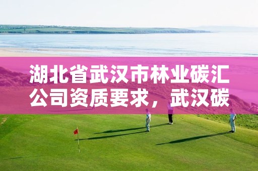湖北省武汉市林业碳汇公司资质要求,武汉碳汇生态科技公司