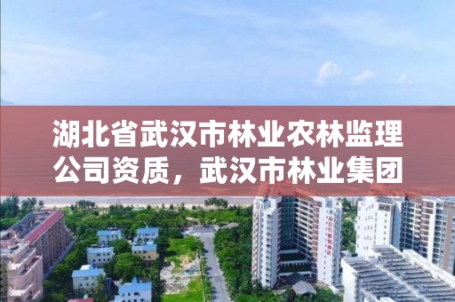 湖北省武汉市林业农林监理公司资质,武汉市林业集团公司官网