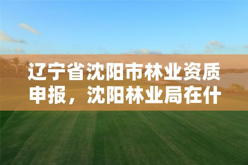 辽宁省沈阳市林业资质申报，沈阳林业局在什么地方