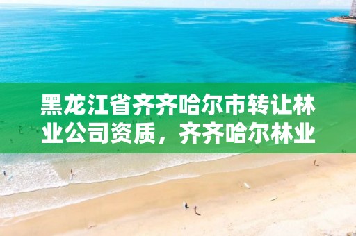 黑龙江省齐齐哈尔市转让林业公司资质,齐齐哈尔林业局地址
