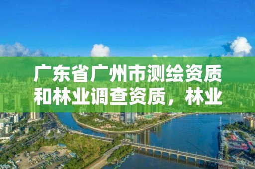 广东省广州市测绘资质和林业调查资质，林业测绘资质哪里办理
