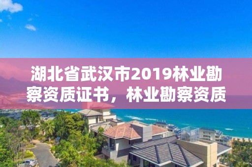 湖北省武汉市2019林业勘察资质证书，林业勘察资质在哪里申请