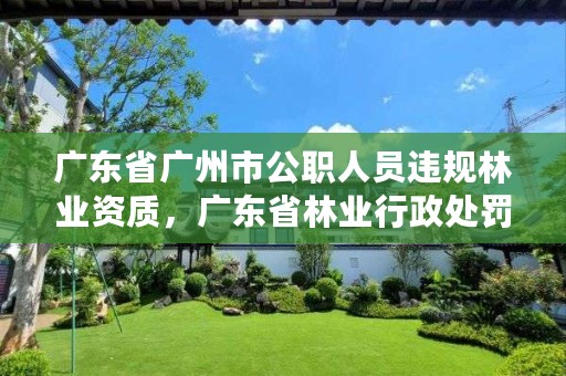 广东省广州市公职人员违规林业资质，广东省林业行政处罚自由裁量实施标准