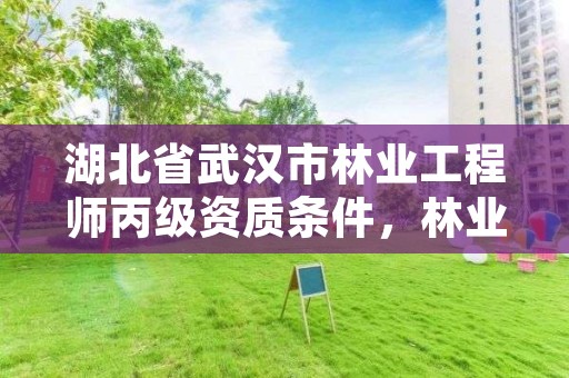 湖北省武汉市林业工程师丙级资质条件,林业工程师资格证报考条件