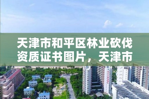 天津市和平区林业砍伐资质证书图片,天津市林木采伐管理办法