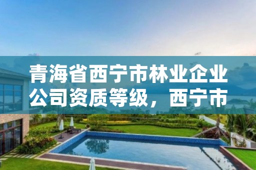 青海省西宁市林业企业公司资质等级,西宁市林业站