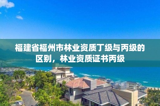 福建省福州市林业资质丁级与丙级的区别,林业资质证书丙级