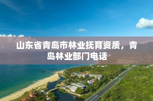 山东省青岛市林业抚育资质,青岛林业部门电话