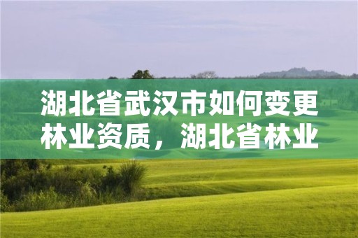 湖北省武汉市如何变更林业资质,湖北省林业管理办法无效