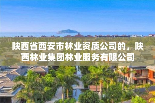 陕西省西安市林业资质公司的,陕西林业集团林业服务有限公司