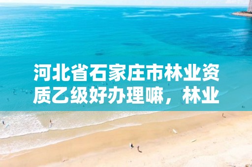 河北省石家庄市林业资质乙级好办理嘛,林业 资质