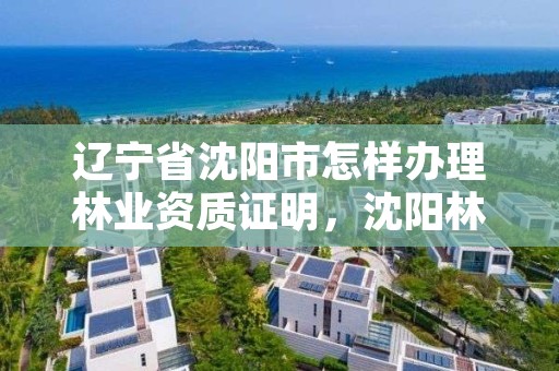 辽宁省沈阳市怎样办理林业资质证明，沈阳林业总场